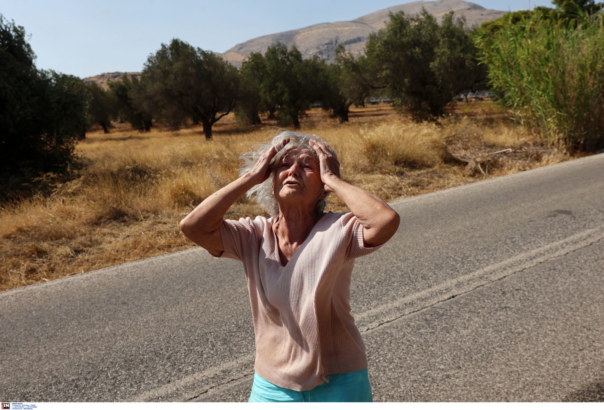 Σε ύφεση η φωτιά σε Ανατολική Αττική και Χελιδόνι Ηλείας: Μάχη δίνουν οι πυροσβεστικές δυνάμεις με διάσπαρτες εστίες – Βρέθηκε γκαζάκι στον Άγιο Νικόλαο Αναβύσσου