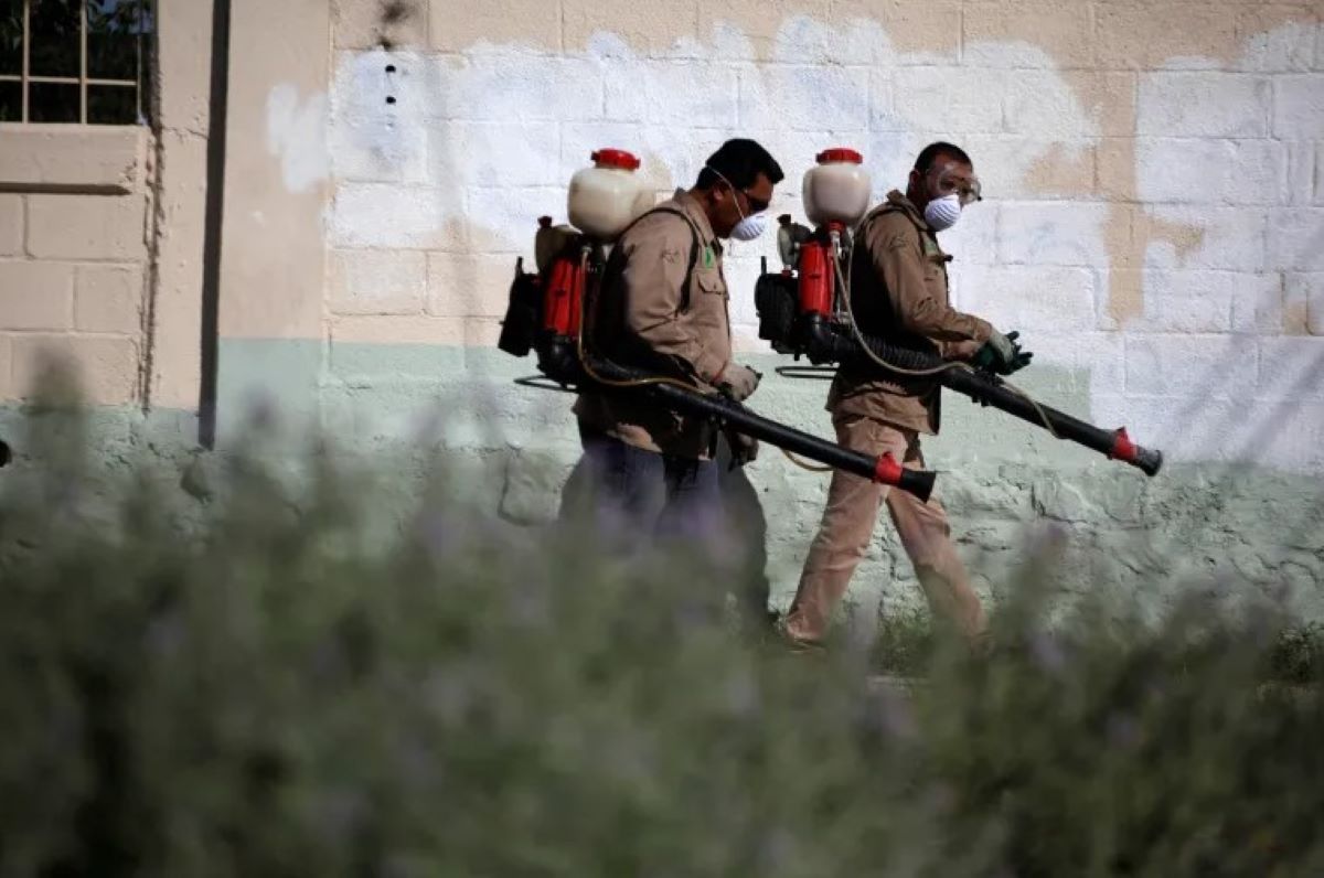 Κίνα τσικουνγκούνια ιός ψεκασμοί