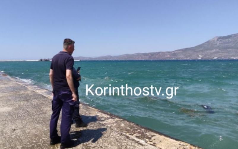 Κόρινθος: Οδηγός έπεσε με το αυτοκίνητό του στη θάλασσα – Ανασύρθηκε νεκρός – Δείτε φωτογραφίες 