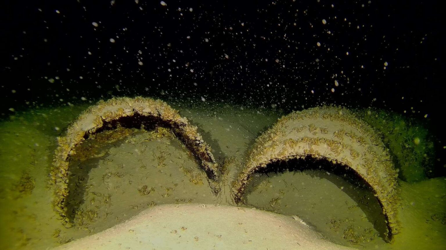 Ανάμεσα σε άλλα ευρήματα, οι μελετητές βρήκαν ξύλινα βαρέλια στη λίμνη της Κωνσταντίας. Φωτογραφία: Alexander Heidacher/LAD at RPS/Bodenseetaucher/picture alliance/dp