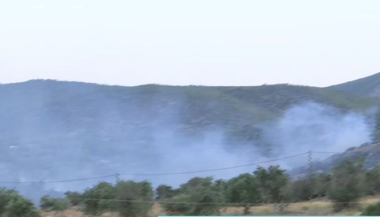 Φωτιά στα Μέγαρα