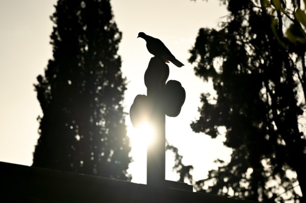 ΝΕΚΡΟΤΑΦΕΙΟ