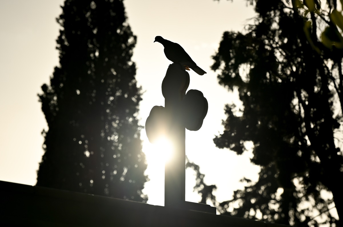 ΝΕΚΡΟΤΑΦΕΙΟ