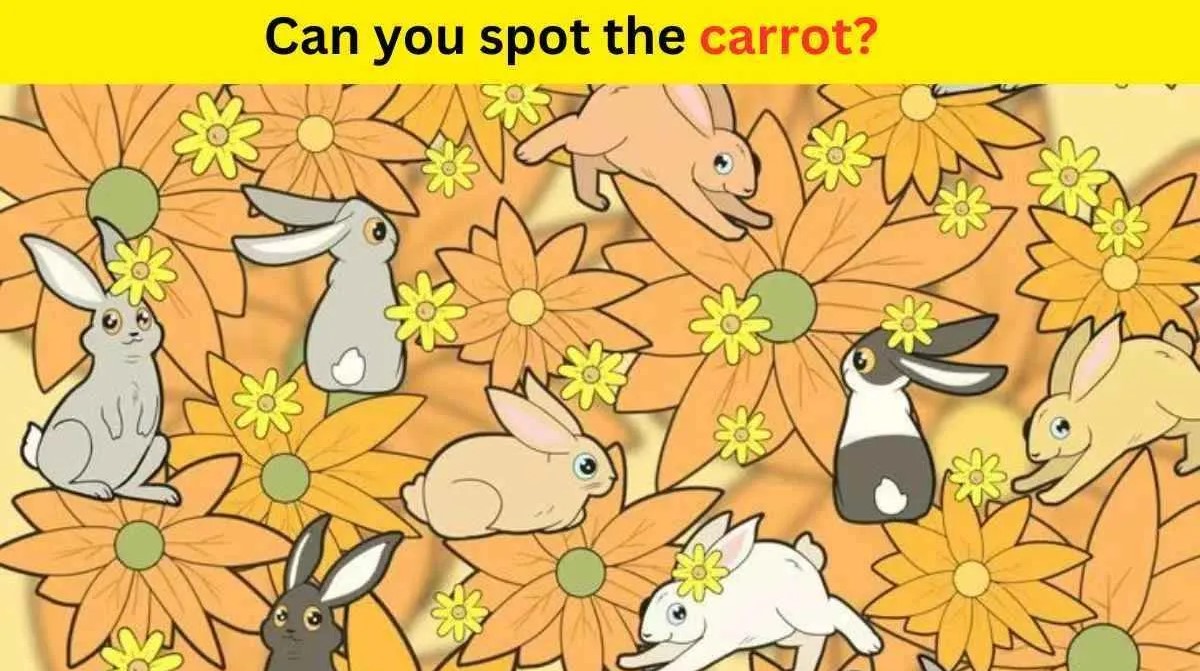 Οπτική ψευδαίσθηση: Μόνο το 3% των ανθρώπων θα βρει το καρότο σε 7 δευτερόλεπτα