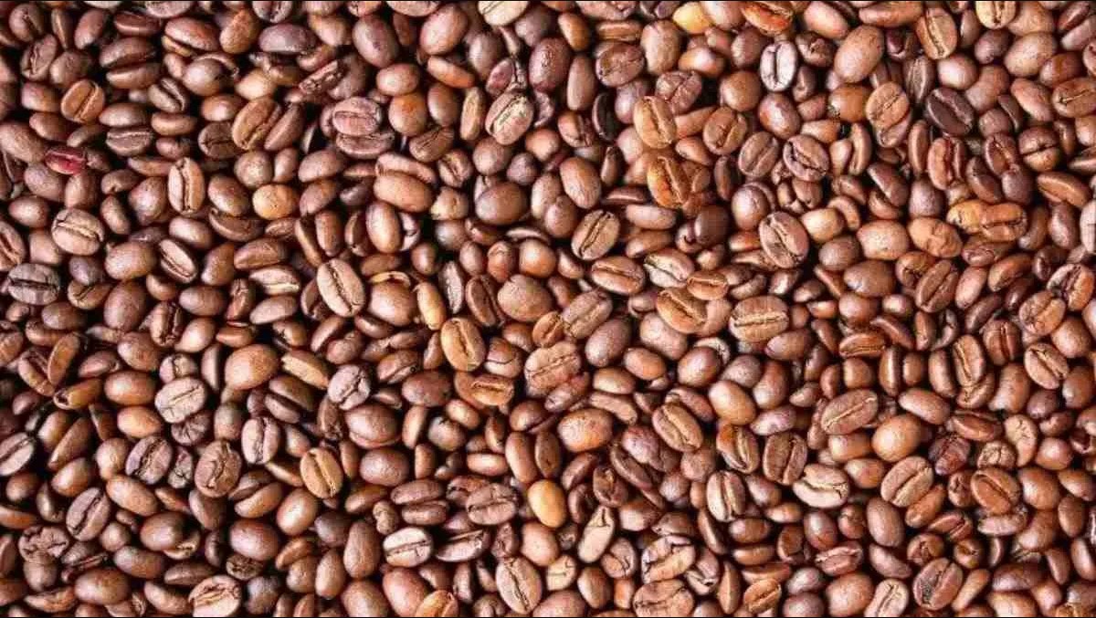 Οπτική ψευδαίσθηση: Μόνο 1 στους 5 ανθρώπους θα βρει το πρόσωπο σε 10 δευτερόλεπτα