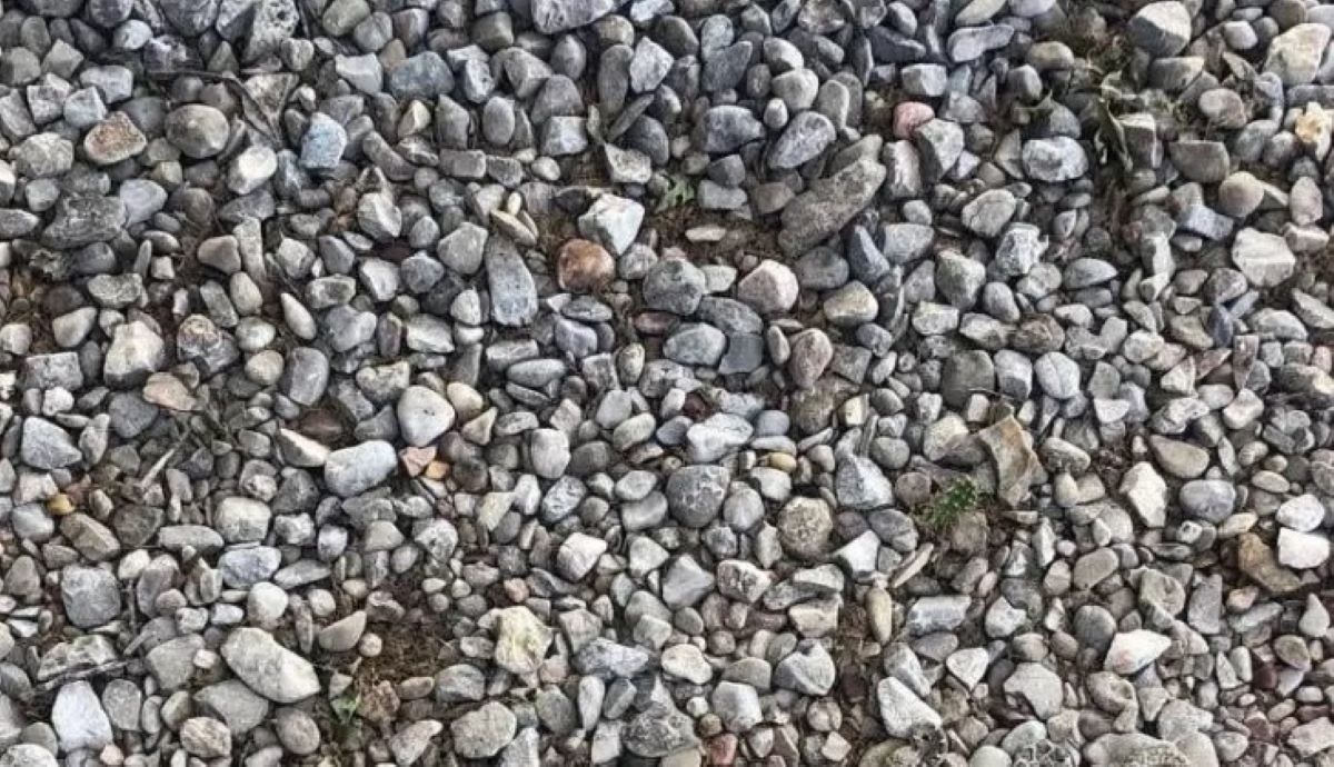 Οπτική ψευδαίσθηση: Μόνο οι πιο έξυπνοι άνθρωποι θα βρουν το φίδι σε 8 δευτερόλεπτα