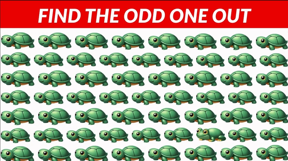 Οπτική ψευδαίσθηση