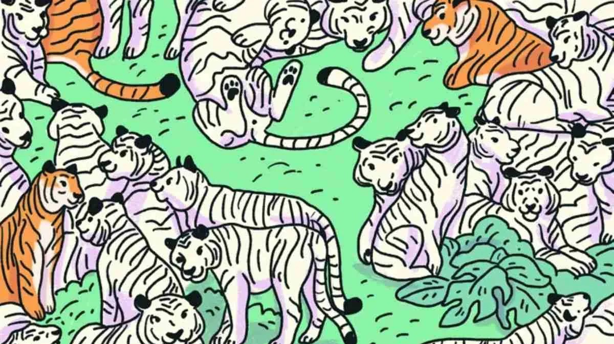 Οπτική ψευδαίσθηση: Μόνο το 3% των ανθρώπων θα βρει την ζέβρα σε 10 δευτερόλεπτα