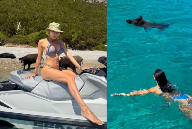 Παναγιώταρου Αλεξανδράκη