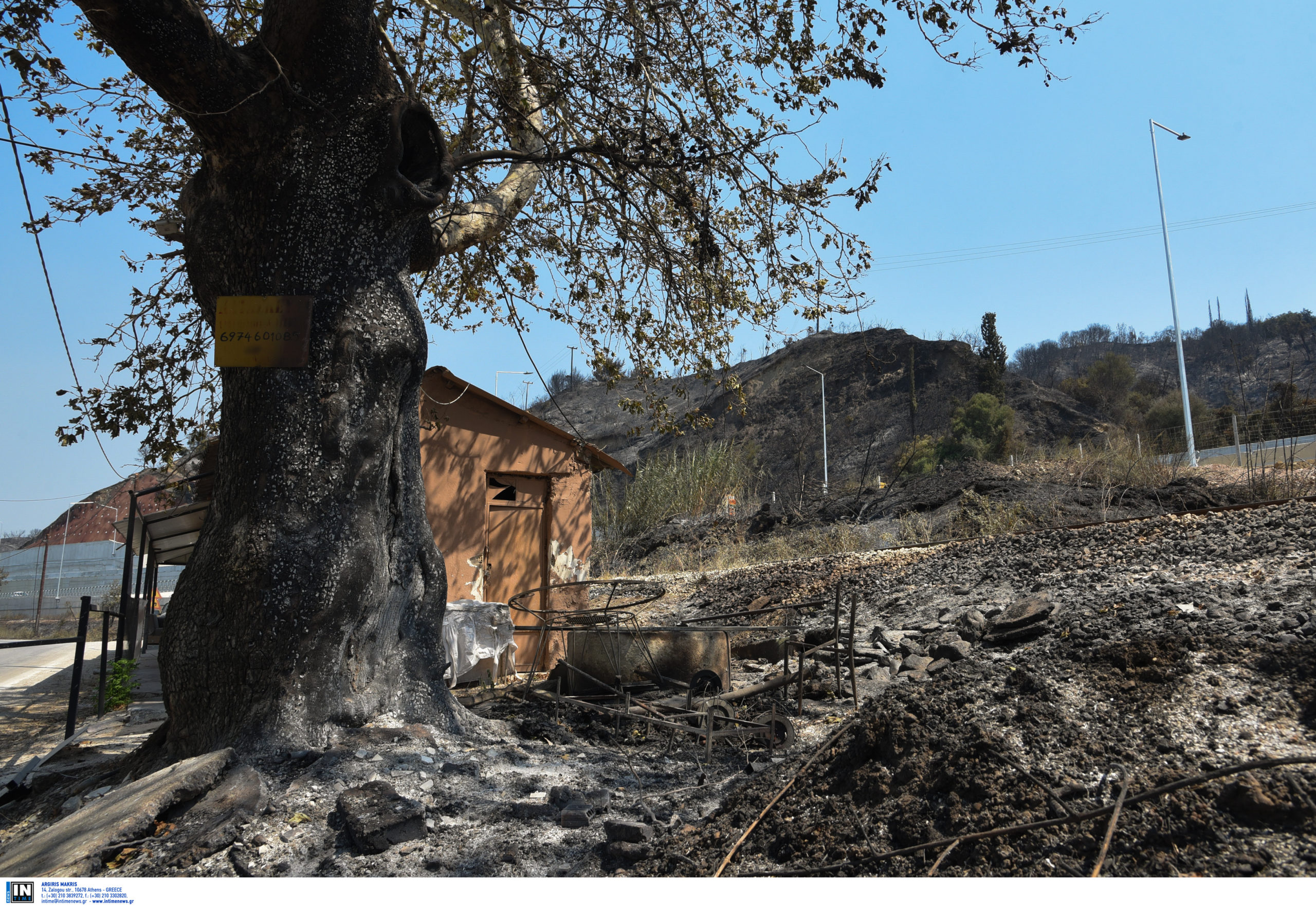 Φωτιές: Διάσπαρτες εστίες σε Ζάκυνθο και Φιλιππιάδα – Συνεχίζεται η μάχη με τις φλόγες σε δύσβατα σημεία στη Χίο και στον Ρωμανό Αχαΐας