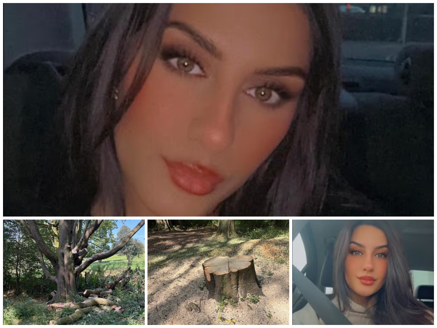 Μητέρα σκοτώθηκε από πτώση κλαδιού αλλά πρόλαβε και έσωσε την 5χρονη κόρη της – «Έσπρωξε το καροτσάκι την τελευταία στιγμή»