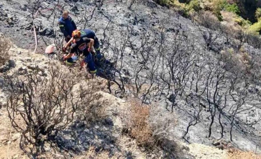 Φωτιά στην Πάτρα: Πυροσβέστης έπεσε σε χαράδρα κατά τη διάρκεια κατάσβεσης – Τον έσωσε η ΕΜΑΚ