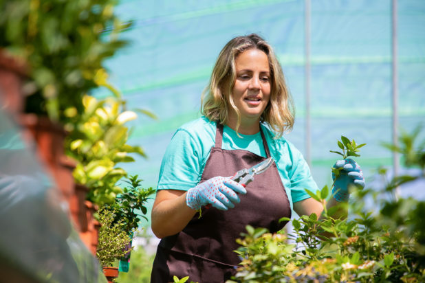 Επαγγελματίες κηπουροί αποκαλύπτουν τι κάνουν πριν μπει το φθινόπωρο – θα εκπλαγείτε. Φωτογραφία: Freepik