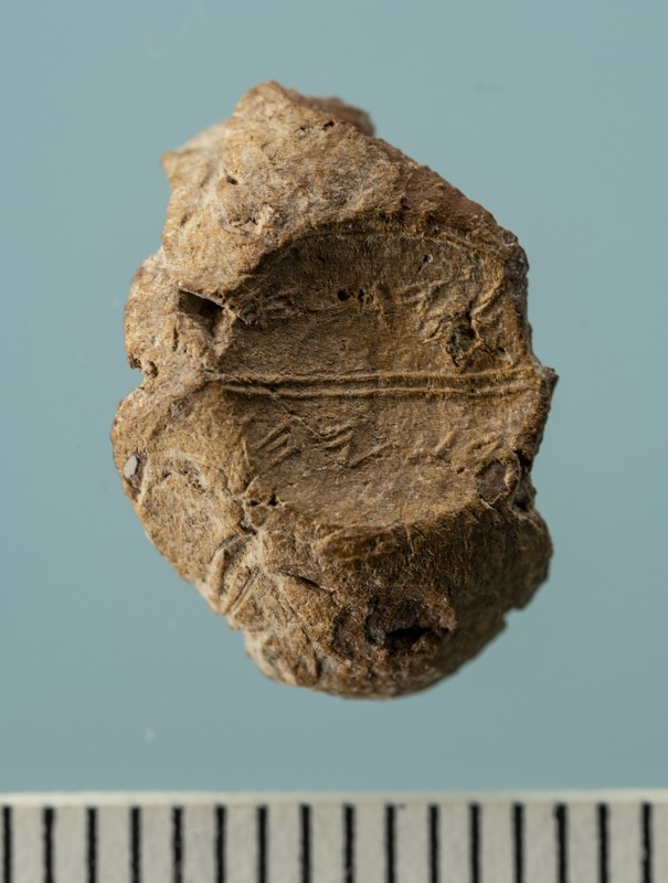 Μία σπάνια πήλινη σφραγίδα ανακαλύφθηκε στο Όρος του Ναού. Φωτογραφία: Temple Mount Sifting Project (TMSP)