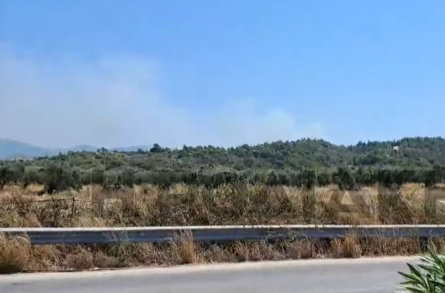 Οριοθετήθηκε η φωτιά στην Ρόδο – Επιχείρησαν επίγειες και εναέριες δυνάμεις