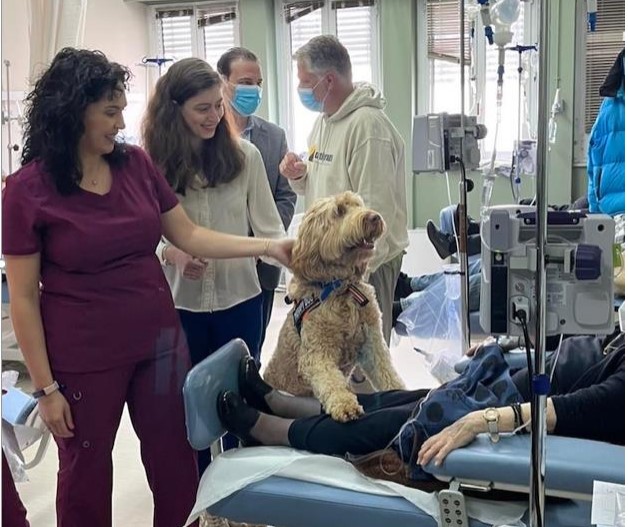 Σκύλοι νοσοκομείο Μεταξά