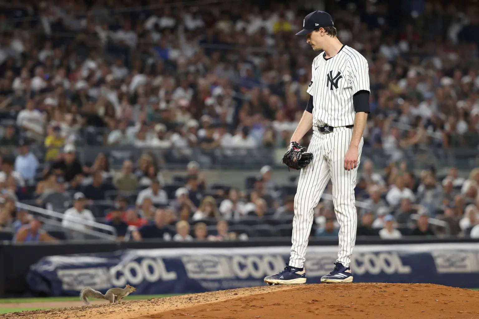 Βίντεο: Σκίουρος διέκοψε αγώνα μπέιζμπολ – Έκλεψε την παράσταση με τις… «μανούβρες» του