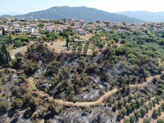 Φωτιά στην Σταμνά