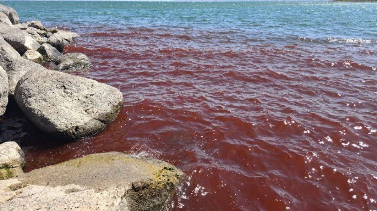 Το κόκκινο χρώμα των νερών στην Θάλασσα της Γαλιλαίας.