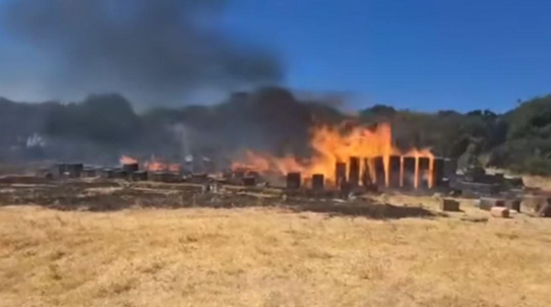 Θεσσαλονίκη: Οριοθετήθηκε η φωτιά στον Χορτιάτη – Πληροφορίες ότι ξεκίνησε από μελίσσια – ΒΙΝΤΕΟ