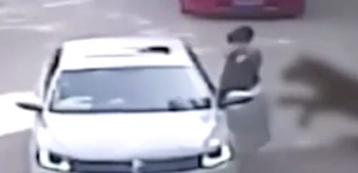 Κίνα Τίγρης