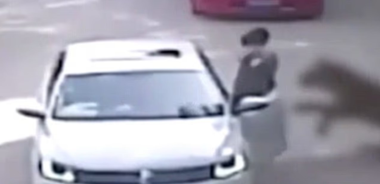 Κίνα Τίγρης