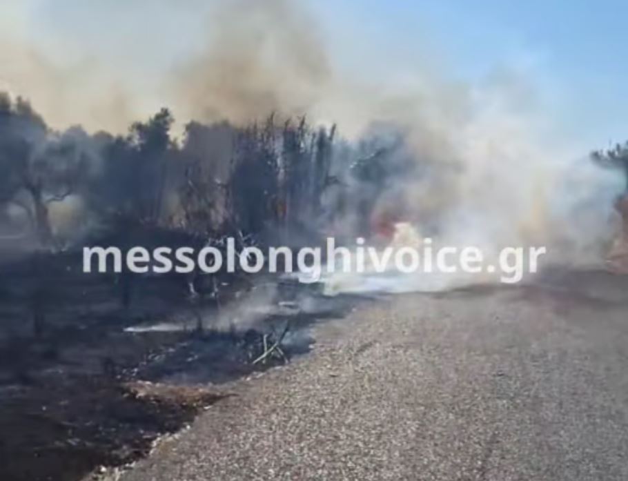 Φωτιά στα Τρελάγκαθα Αιτωλοακαρνανίας – Μήνυμα από το 112 για εκκένωση 