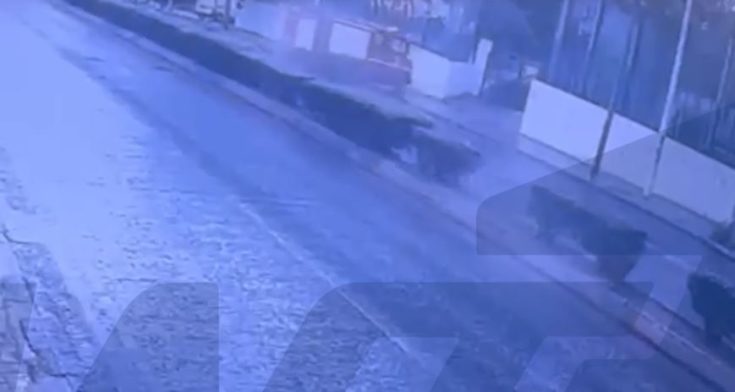 Νέα Χαλκηδόνα, Εκτροπή Πυροσβεστικού Οχήματος