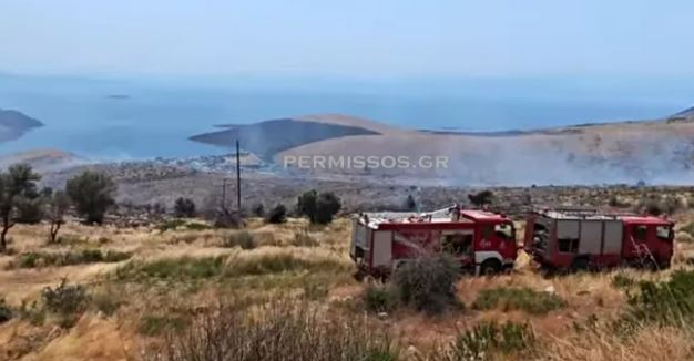 Χωρίς ενεργό μέτωπο η φωτιά στον Πρόδρομο Βοιωτίας 