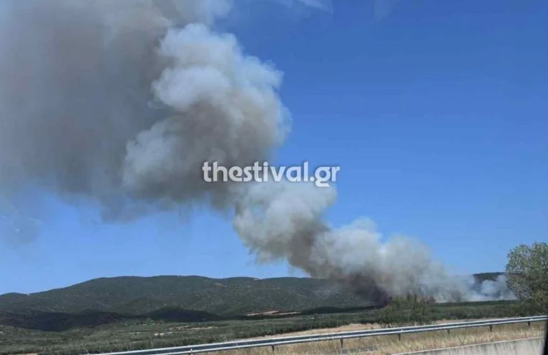 Μήνυμα από το 112 για την φωτιά στη Θεσσαλονίκη – «Αν βρίσκεστε στην περιοχή Βαϊοχώρι απομακρυνθείτε προς Νυμφόπετρα»