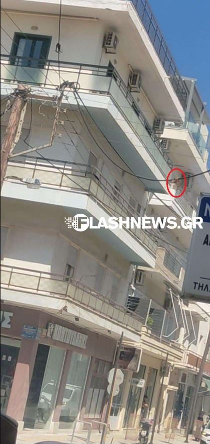 ΧΑΝΙΑ ΚΑΛΩΔΙΟ