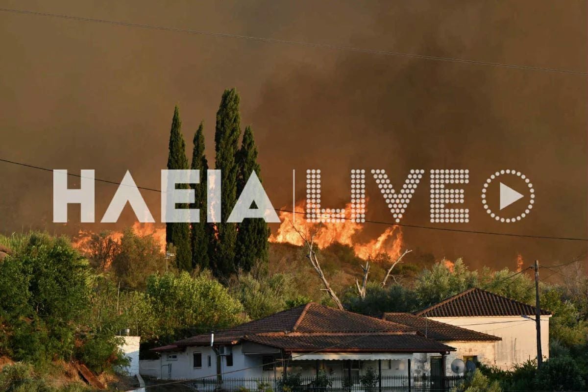 Σε ύφεση η φωτιά σε Ανατολική Αττική και Χελιδόνι Ηλείας: Μάχη δίνουν οι πυροσβεστικές δυνάμεις με διάσπαρτες εστίες – Βρέθηκε γκαζάκι στον Άγιο Νικόλαο Αναβύσσου