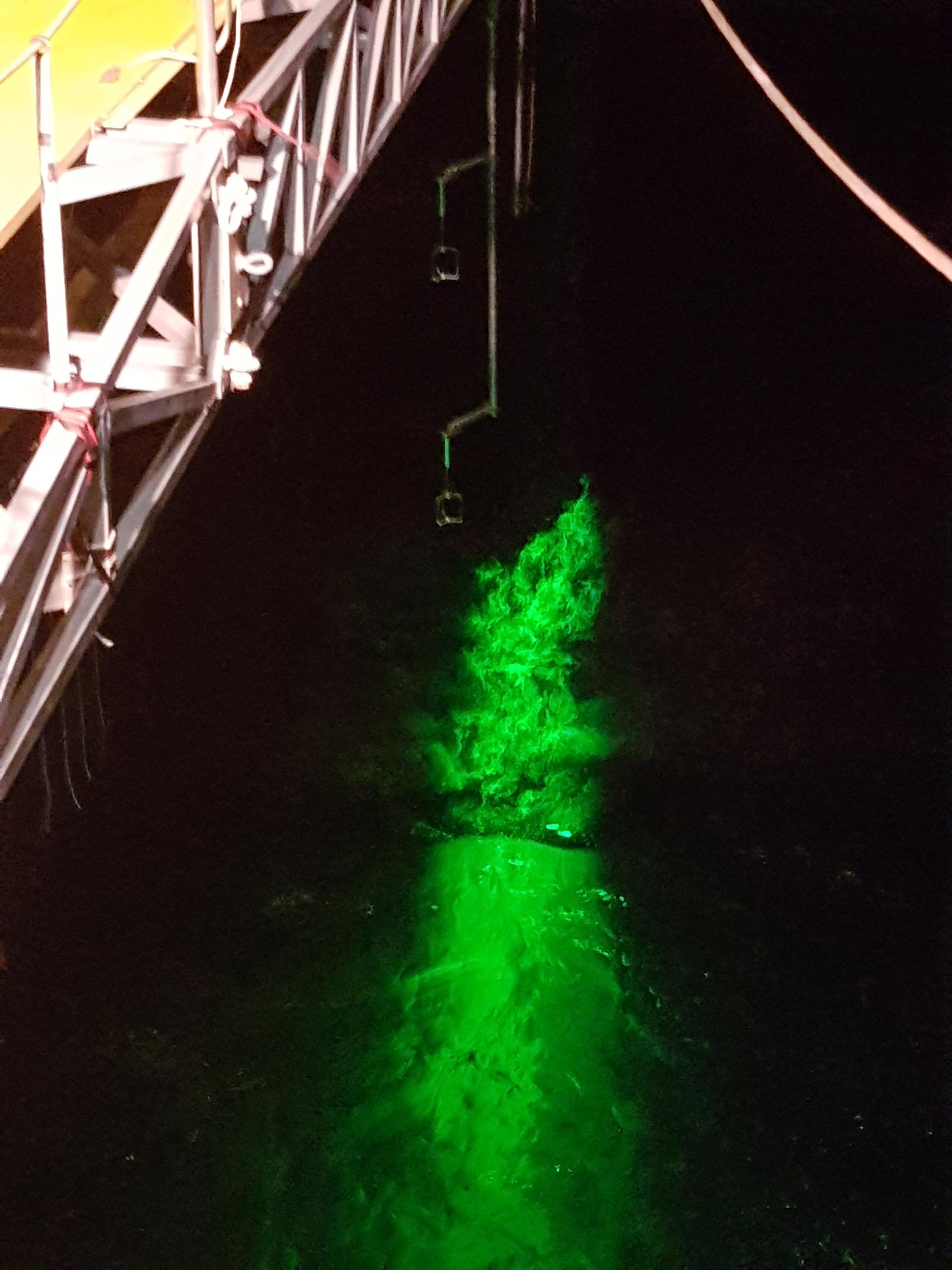 Οι ερευνητές εργάστηκαν με ένα πράσινο λέιζερ που διαπερνά τον αέρα και το νερό, κάνοντας τα ρεύματα ορατά. Φωτογραφία: Hereon/Marc Buckley