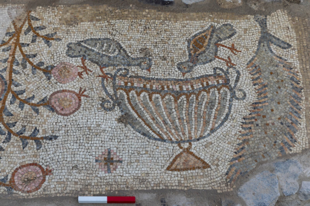 Πουλί που πίνει από χάλκινο ποτήρι απεικονίζεται στο μωσαϊκό. Φωτογραφία: Δρ. Michael Eisenberg