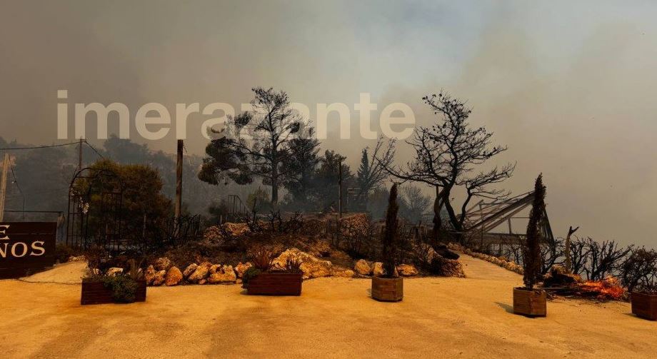 φωτιά στη Ζάκυνθο, ταβέρνα