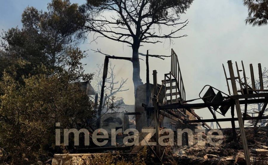 φωτιά στη Ζάκυνθο, ταβέρνα