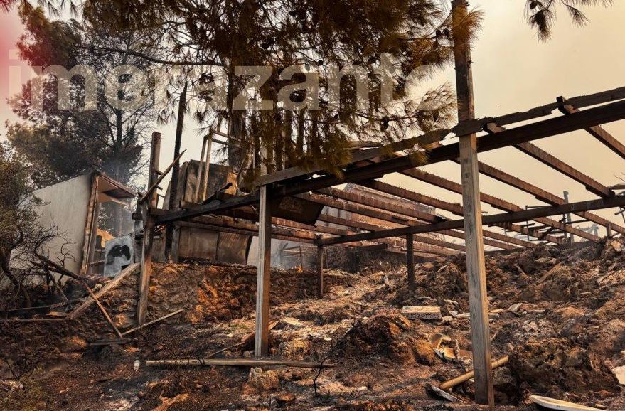 φωτιά στη Ζάκυνθο, ταβέρνα