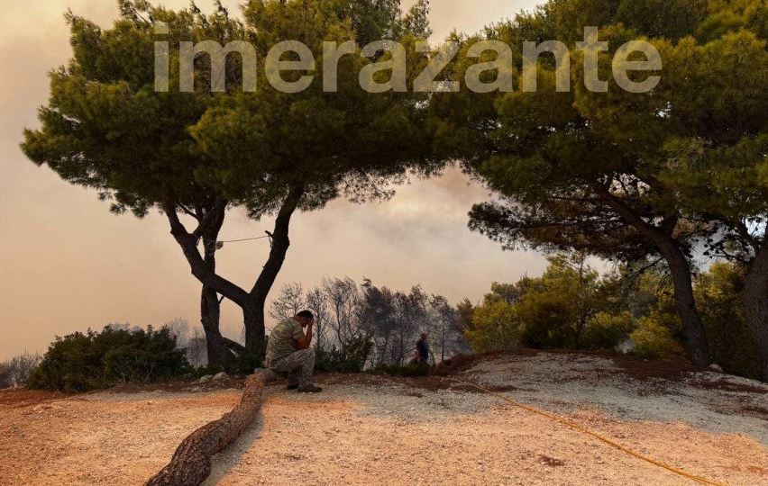 φωτιά στη Ζάκυνθο, ταβέρνα