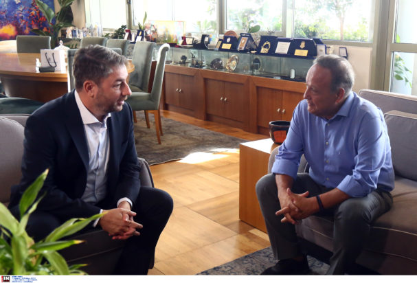 Συνάντηση Ανδρουλάκη - Αγγελούδη