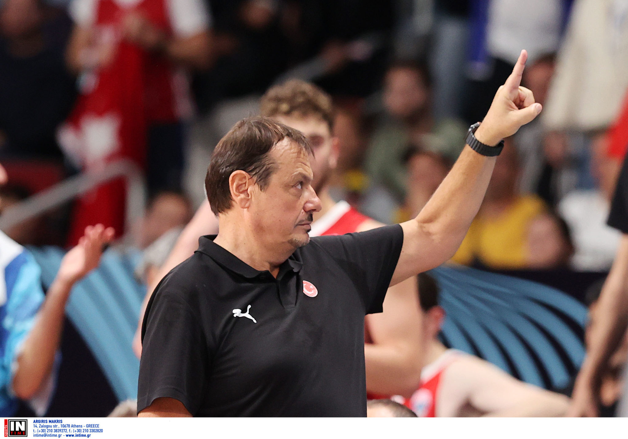 Εργκίν Αταμάν, EuroBasket