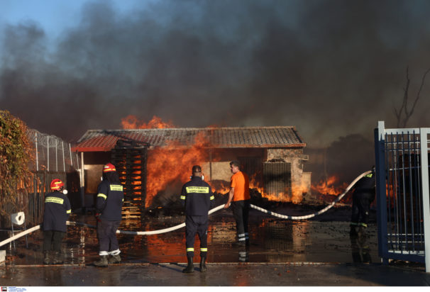 Φωτιά, Αχαρνές