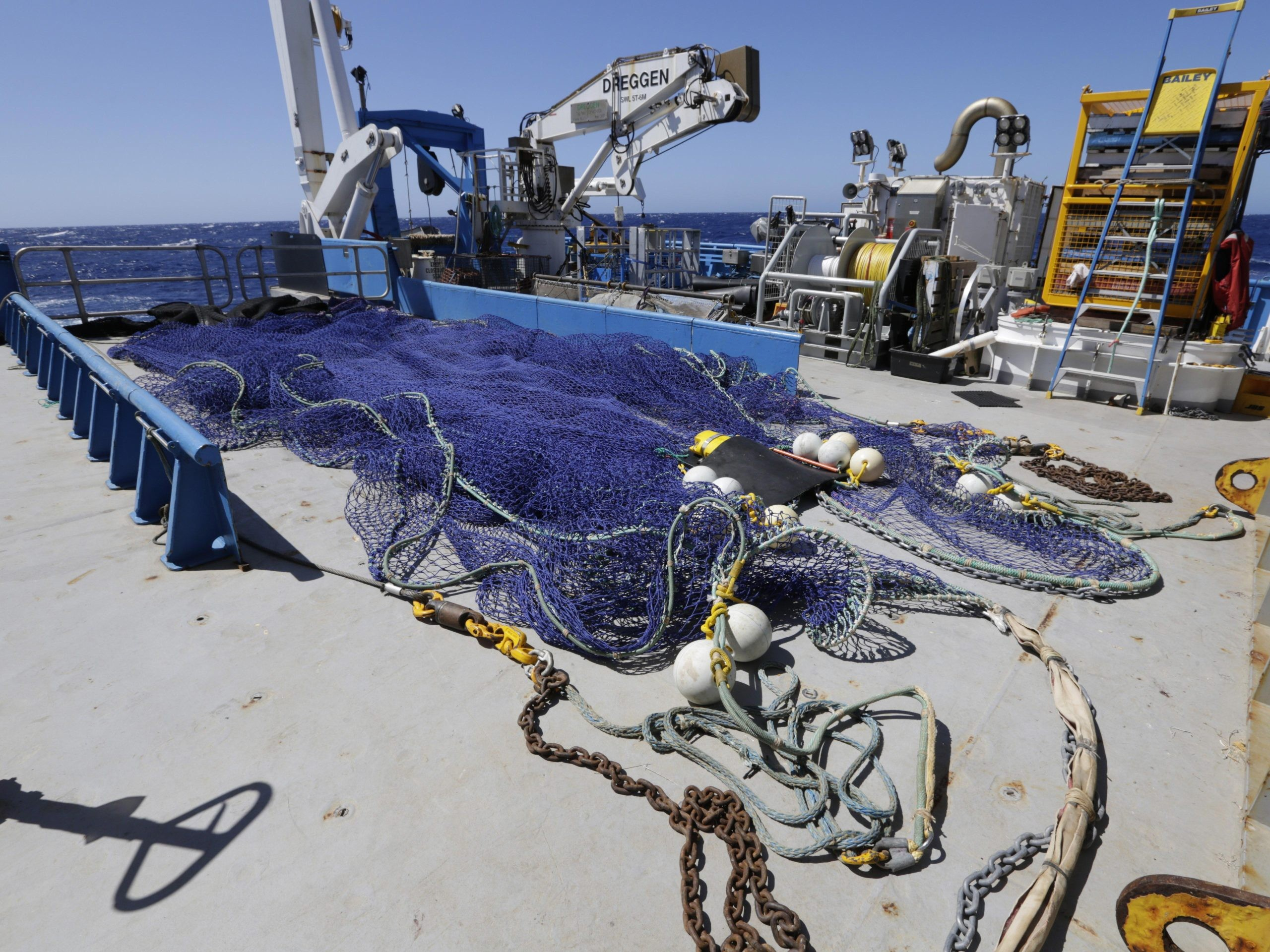Στη διάρκεια του ταξιδιού, οι ερευνητές χρησιμοποίησαν δίκτυα για σαλιγκάρια για τη συλλογή των δειγμάτων. Φωτογραφία: Frederique Olivier, CSIRO