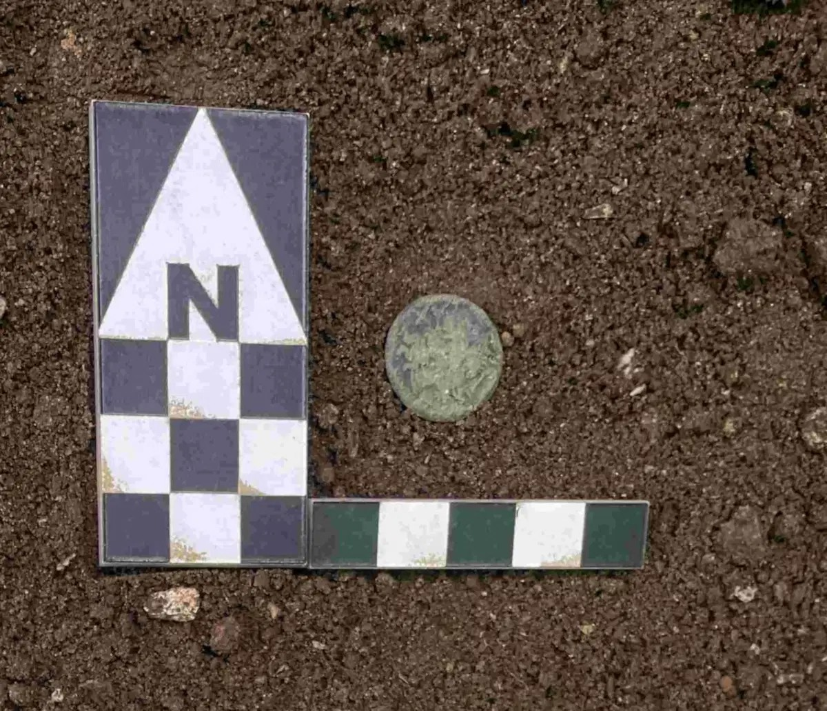 Δηνάριο της Ρωμαϊκής Δημοκρατίας που ανακαλύφθηκαν στον χώρο των ανασκαφών. Φωτογραφία: Υπουργείο πολιτισμού – Διεύθυνση Αρχαιολογίας, Καλών Τεχνών και Τοπίου για τις Επαρχίες του Μπρίντιζι, Λέτσε και Τάραντα