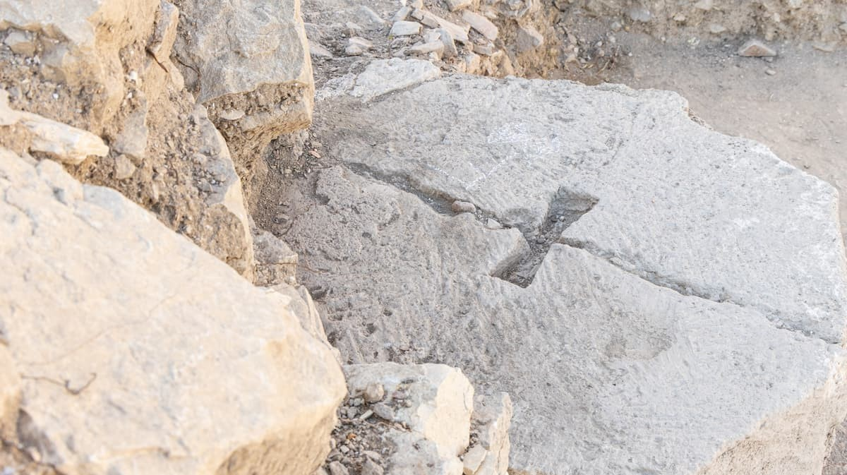 Λεπτομέρεια των ανασκαφών στο νέο κτίριο που ανακαλύφθηκε στη Σεγέστα. Φωτογραφία: Αρχαιολογικό Πάρκο της Σεγέστας