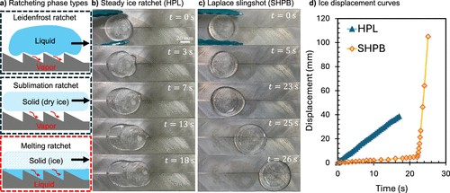 Φωτογραφία: ACS Appl. Mater. Interfaces 2025, 17, 34, 48873–48880