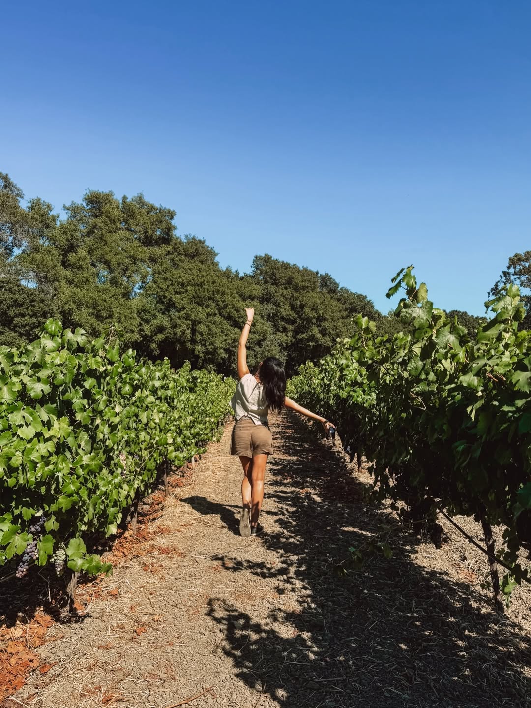 ΕΛΕΝΗ ΒΑΪΤΣΙΟΥ