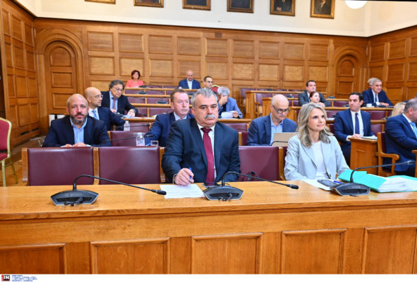 Εξεταστική Επιτροπή για ΟΠΕΚΕΠΕ