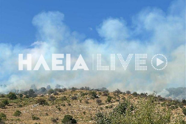 Σπαρτουλιά Λασιώνος: Μεγάλη φωτιά στις πλαγιές του Ερυμάνθου