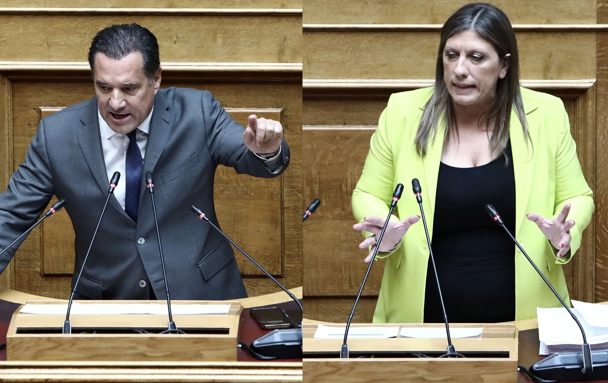 Άδωνις Γεωργιάδης, Ζωή Κωνσταντοπούλου