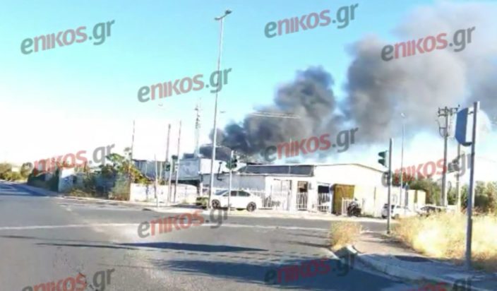 φωτιά στις Αχαρνές, αναγνώστης